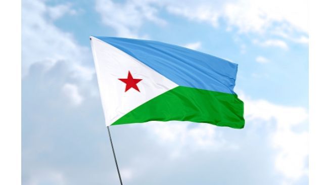 5 Fakta Djibouti, Salah Satu Negara Terkecil di Benua Afrika