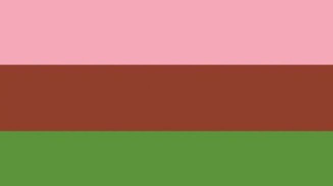 Gynesexual flag.