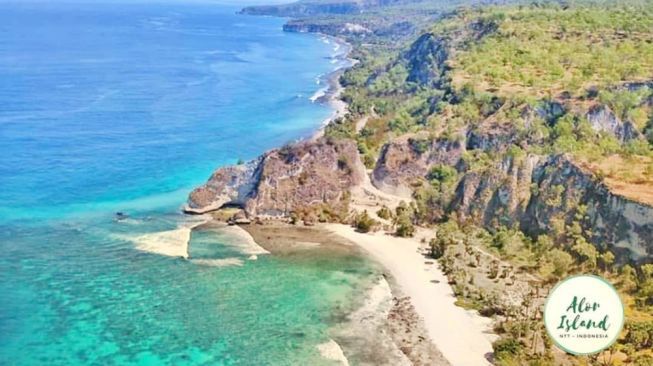 Surga di Timur Indonesia, Ini 4 Objek Wisata Pantai di Kabupaten Alor