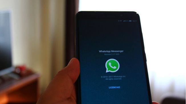 3 Cara Membalas Pesan WhatsApp Tanpa Terlihat Online Beserta Langkahnya