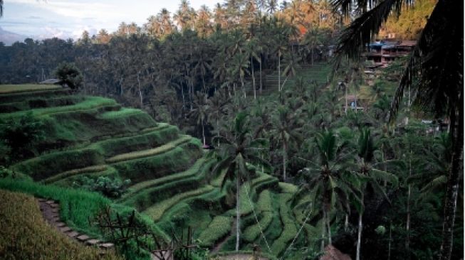 Faktor Geografis Bikin Indonesia Tidak Jadi Negara Maju, Benarkah Teori Itu?