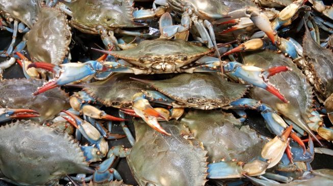 Crab Mentality: Sikap Iri dan Cara Menghadapinya yang Jarang Diketahui