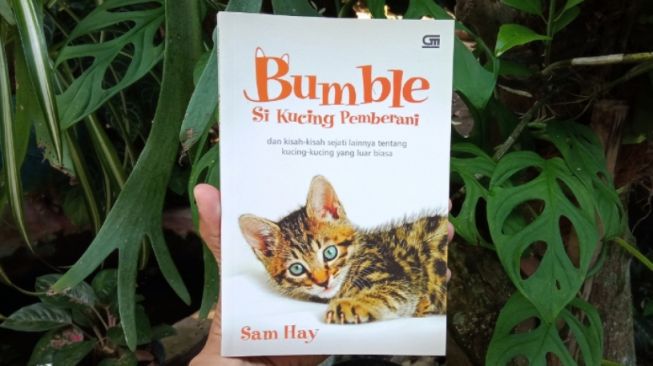 Jangan Menyiksa Binatang dalam Buku 'Bumble Si Kucing Pemberani'