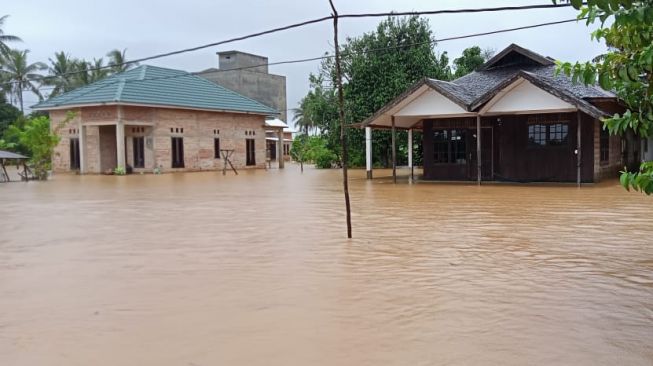 Maraknya Pembukaan Lahan yang Mengakibatkan Banjir Kalsel