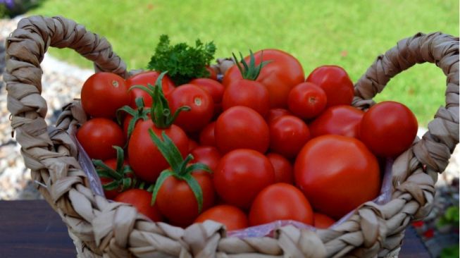 5 Khasiat Tomat untuk Kesehatan Wajah, Sudah Tahu Belum?