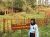 avatar yoursay