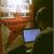 avatar yoursay
