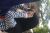 avatar yoursay
