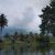 avatar yoursay
