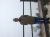 avatar yoursay