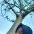 avatar yoursay