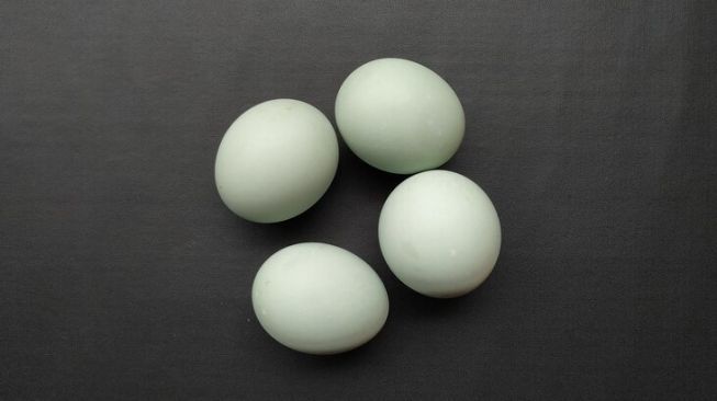 6 Manfaat Telur Bebek yang Perlu Diketahui, Mampu Optimalkan Fungsi Otak