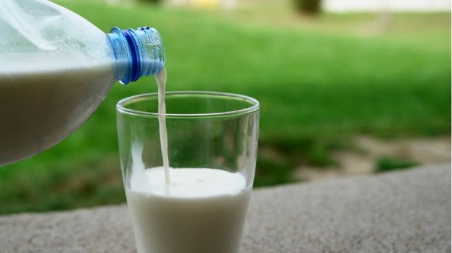 4 Manfaat Susu Kambing bagi Tubuh, Bisa Jadi Alternatif Susu Sapi