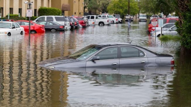 Kenali Tanda-Tanda Mobil Bekas Banjir Sebelum Membeli Mobil Bekas