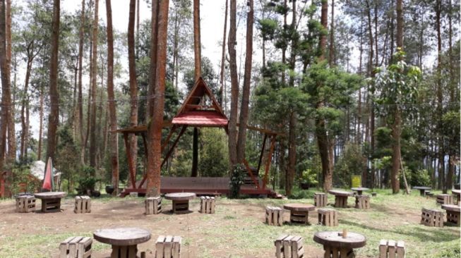 Menikmati Secangkir Kopi di Caffe Hutan Pinus Wappit Temanggung