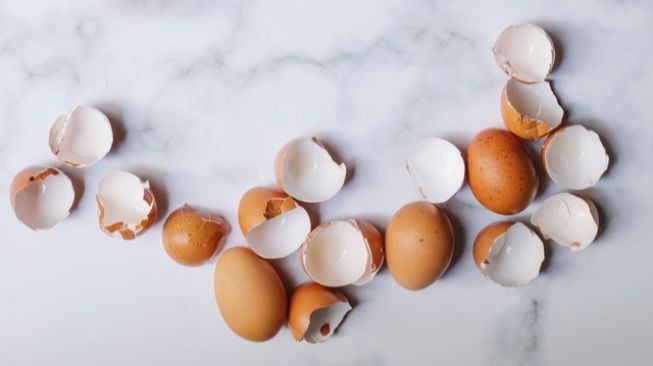 Segudang Manfaat Kulit Telur yang Wajib Kamu Ketahui, Bisa Dibuat Pupuk